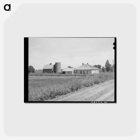 アートポストカード-Contemplating the Farm
 - ラッセル リー Postcard.