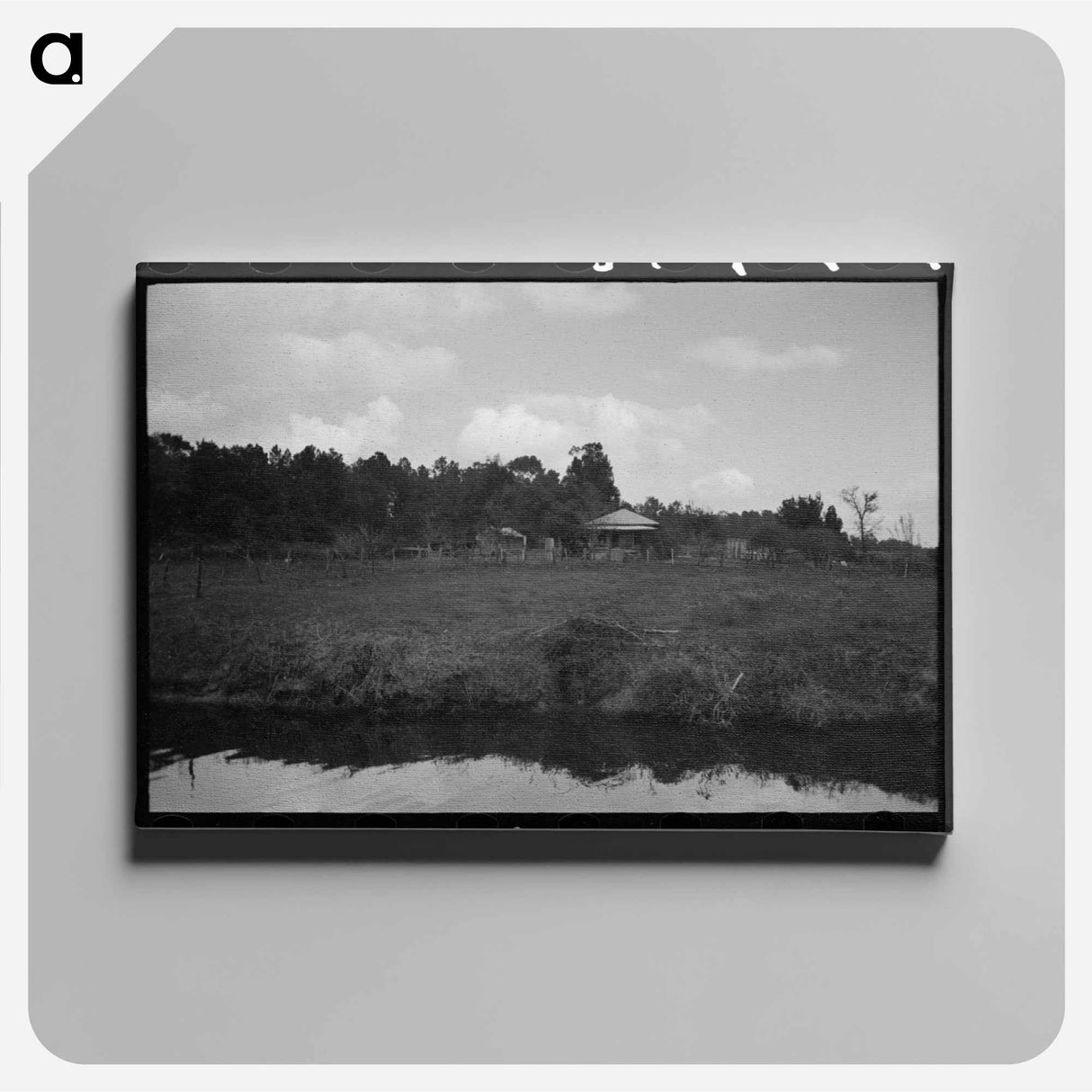 アートパネル-Trees and Moss Along the Bayou
 - ラッセル リー Canvas.