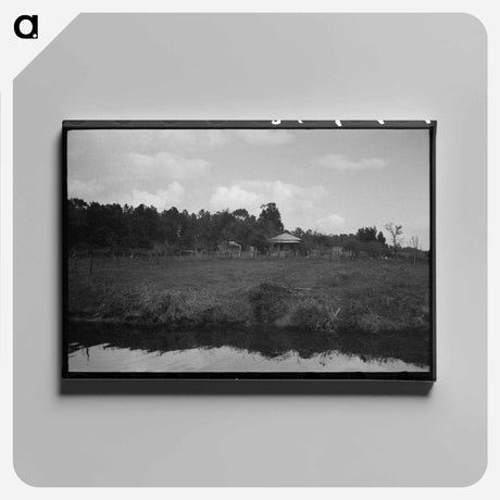 アートパネル-Trees and Moss Along the Bayou
 - ラッセル リー Canvas.