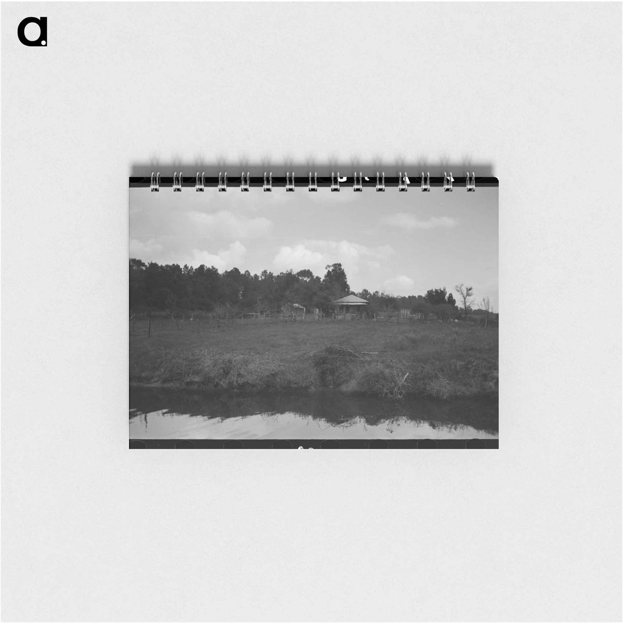 アートメモ帳-Trees and Moss Along the Bayou
 - ラッセル リー Memo.
