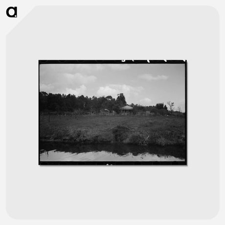 アートポストカード-Trees and Moss Along the Bayou
 - ラッセル リー Postcard.