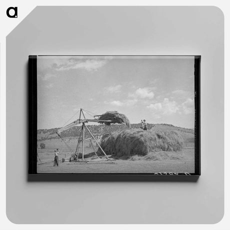 アートパネル-Stocking Hay, Ouray County
 - ラッセル リー Canvas.