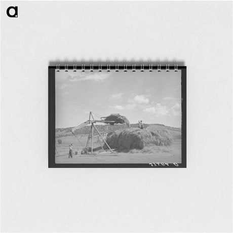 アートメモ帳-Stocking Hay, Ouray County
 - ラッセル リー Memo.