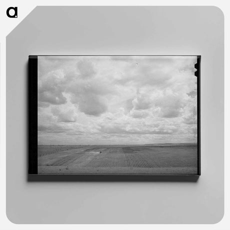 アートパネル-Farmland. Dead Ox Flat, Malheur County, Oregon
 - ラッセル リー Canvas.