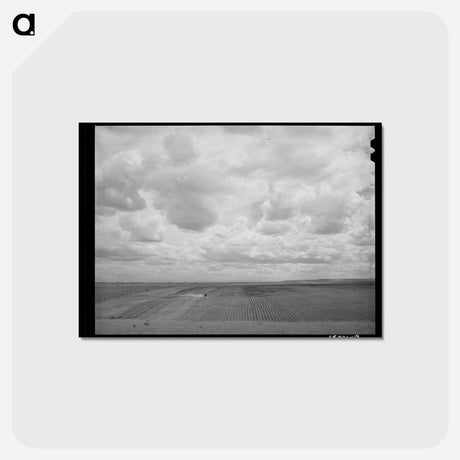 アートポストカード-Farmland. Dead Ox Flat, Malheur County, Oregon
 - ラッセル リー Postcard.