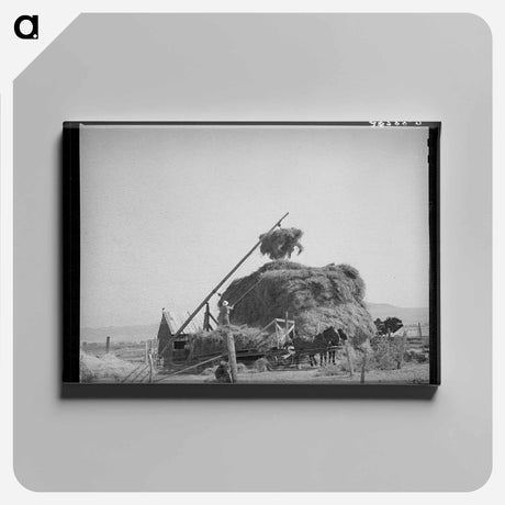 アートパネル-Mormon Hay Stacker
 - ラッセル リー Canvas.
