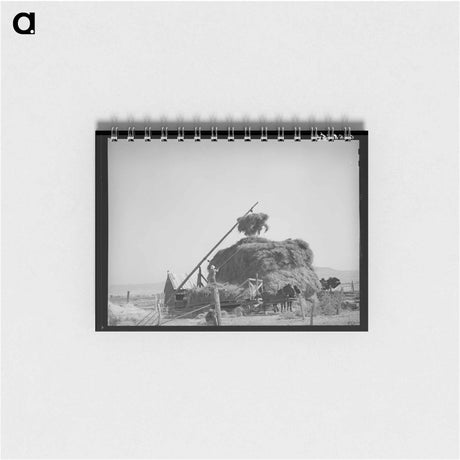 アートメモ帳-Mormon Hay Stacker
 - ラッセル リー Memo.