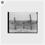 アートポストカード-Corner Post Fence, Balmorhea
 - ラッセル リー Postcard.