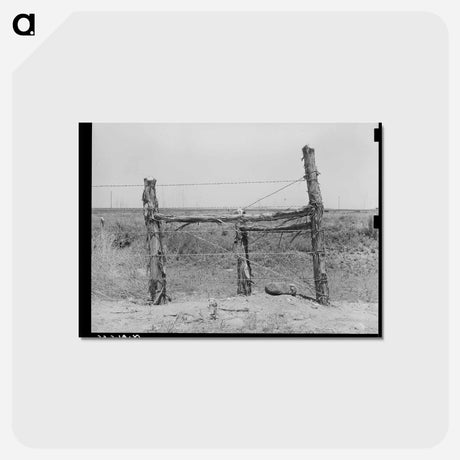 アートポストカード-Corner Post Fence, Balmorhea
 - ラッセル リー Postcard.