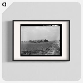 アートポスター-Farm, Montrose County, Colorado
 - ラッセル リー Poster.