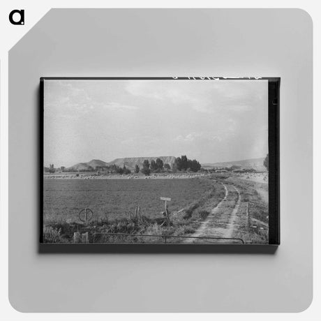 アートパネル-Farm, Montrose County, Colorado
 - ラッセル リー Canvas.