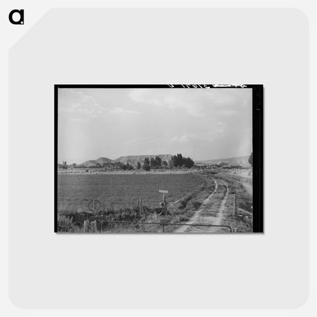 アートポストカード-Farm, Montrose County, Colorado
 - ラッセル リー Postcard.