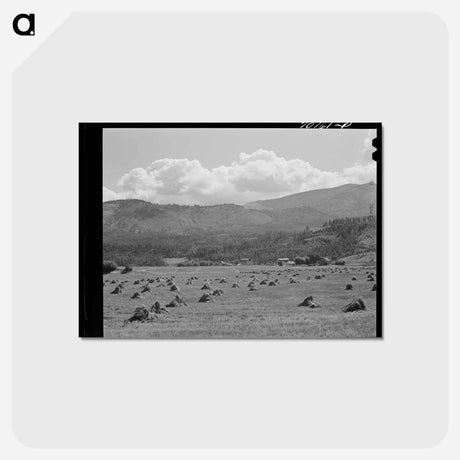 アートポストカード-Mountain Valley Farming Land
 - ラッセル リー Postcard.