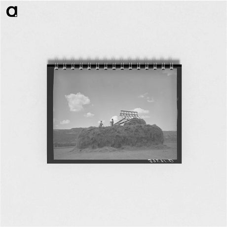 アートメモ帳-Stacking Hay, Ouray County
 - ラッセル リー Memo.