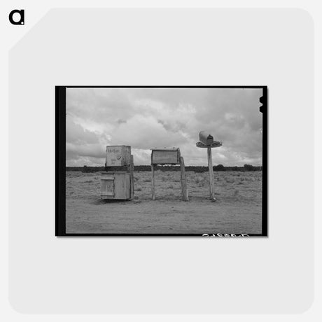 アートポストカード-Mailboxes in Catron County, New Mexico
 - ラッセル リー Postcard.