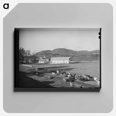 アートパネル-Cows Going Home, Vermont
 - ラッセル リー Canvas.