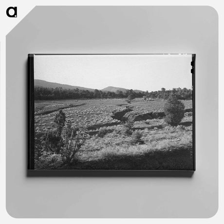 アートパネル-Overgrazed Pasture, New Mexico
 - ラッセル リー Canvas.