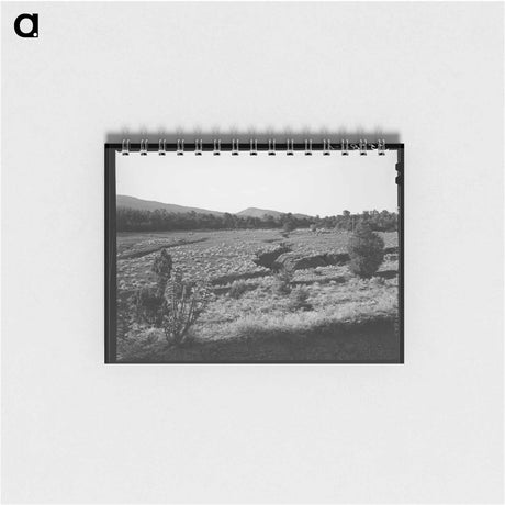 アートメモ帳-Overgrazed Pasture, New Mexico
 - ラッセル リー Memo.