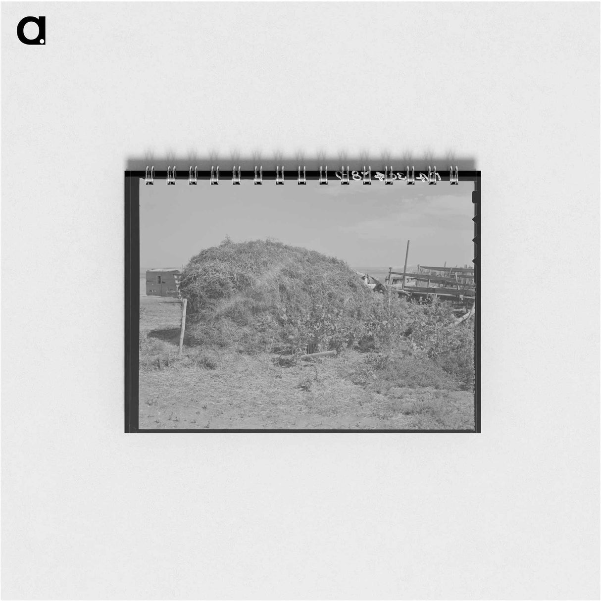 アートメモ帳-Thistle Hay Stack
 - ラッセル リー Memo.