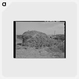 アートポストカード-Thistle Hay Stack
 - ラッセル リー Postcard.