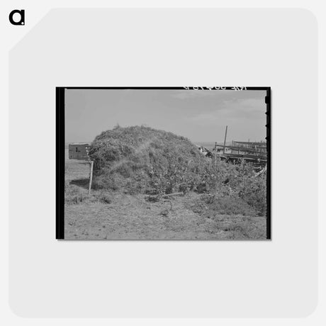 アートポストカード-Thistle Hay Stack
 - ラッセル リー Postcard.