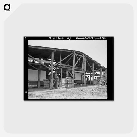 アートポストカード-Part of pea vinery
 - ラッセル リー Postcard.