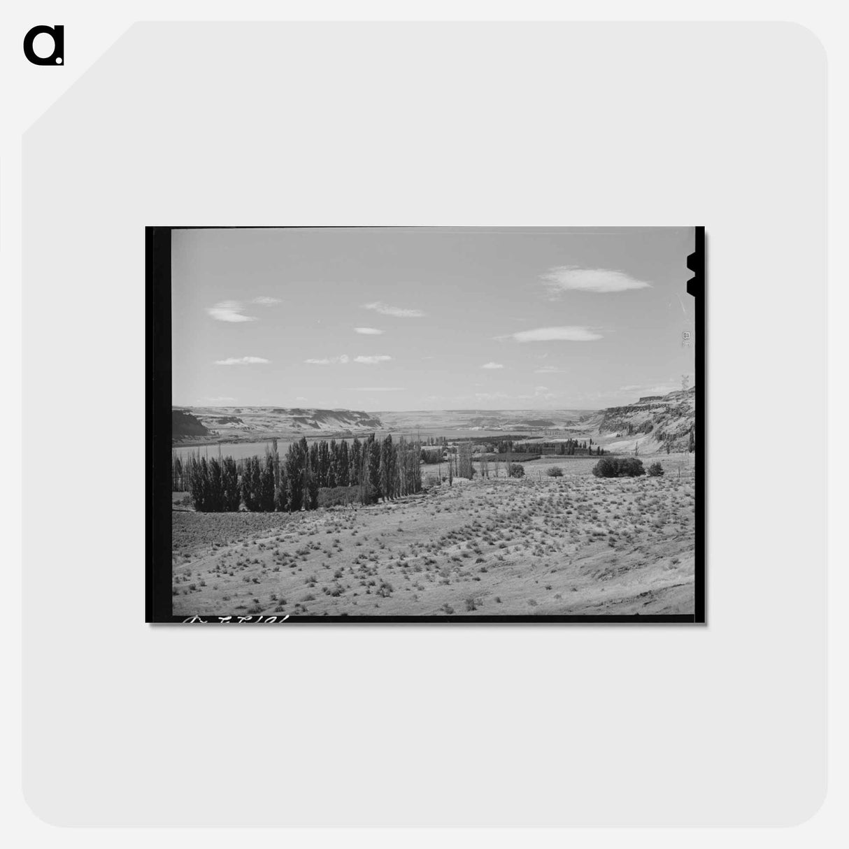 アートポストカード-Columbia River Scene
 - ラッセル リー Postcard.