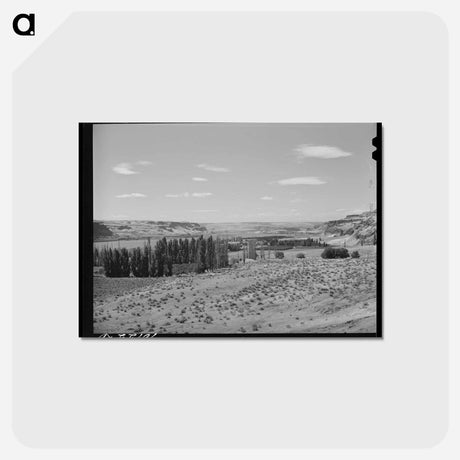 アートポストカード-Columbia River Scene
 - ラッセル リー Postcard.