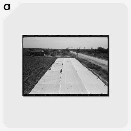 アートポストカード-Truck Farm in Frames
 - ラッセル リー Postcard.