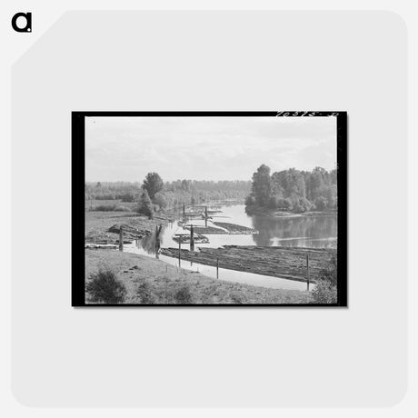 アートポストカード-Log Rafts in Columbia River
 - ラッセル リー Postcard.