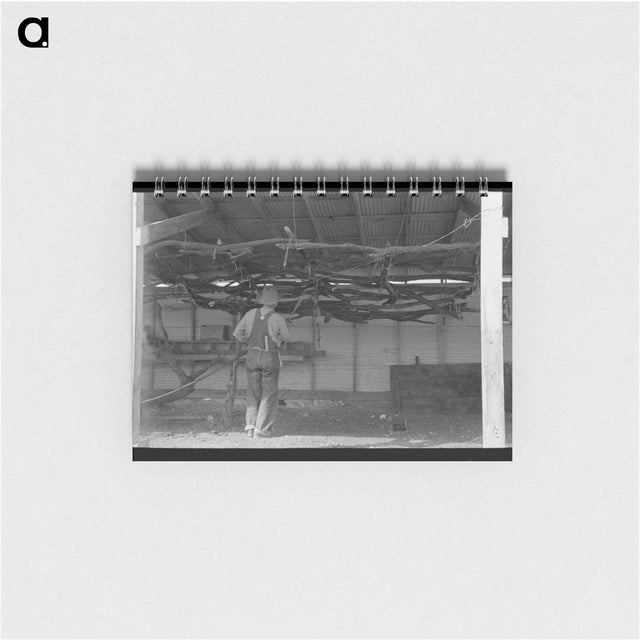 アートメモ帳-Chicken Roost
 - ラッセル リー Memo.