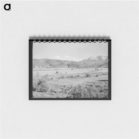 アートメモ帳-Putting Up Hay in Mountain Valley
 - ラッセル リー Memo.