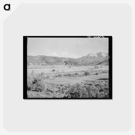 アートポストカード-Putting Up Hay in Mountain Valley
 - ラッセル リー Postcard.