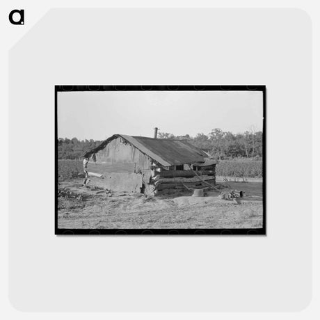 アートポストカード-Indian Agricultural Day Laborer's Home
 - ラッセル リー Postcard.