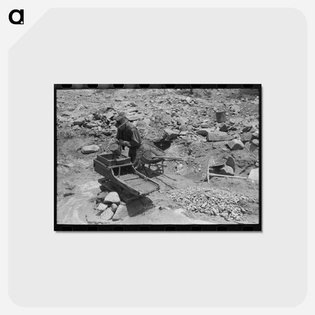 アートポストカード-Gold Prospector, Pinos Altos
 - ラッセル リー Postcard.