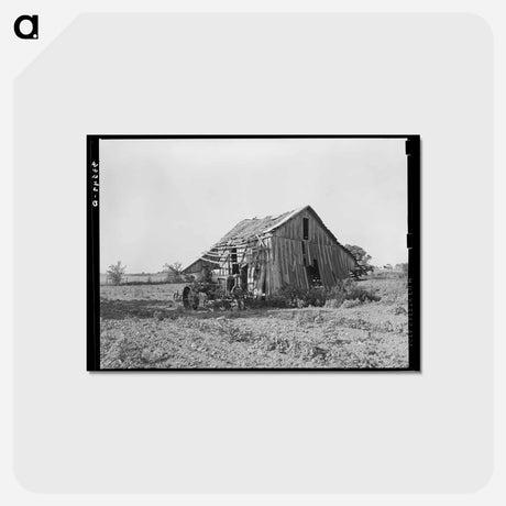 アートポストカード-Abandoned Tenant Farmhouse
 - ラッセル リー Postcard.