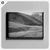 アートパネル-Driving Sheep, San Juan County
 - ラッセル リー Canvas.