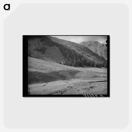 アートポストカード-Driving Sheep, San Juan County
 - ラッセル リー Postcard.
