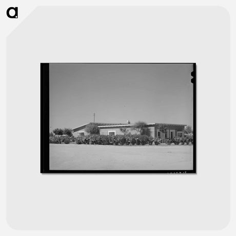 アートポストカード-Casa Grande Valley Farms Community
 - ラッセル リー Postcard.