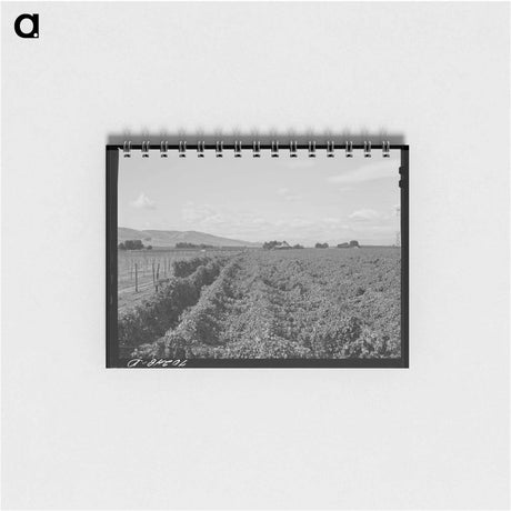 アートメモ帳-Hop Field, Yakima County
 - ラッセル リー Memo.