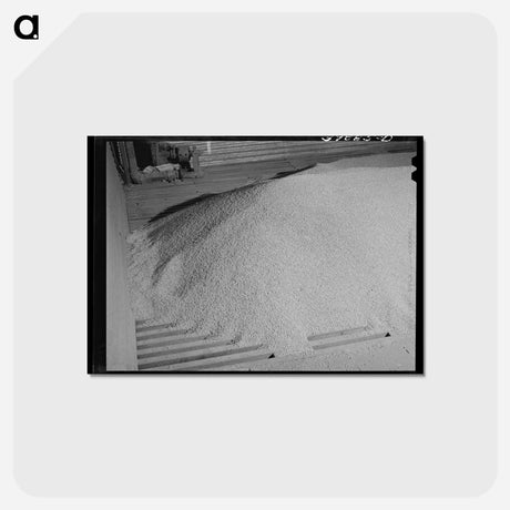 アートポストカード-Wheat Storage Bin
 - ラッセル リー Postcard.