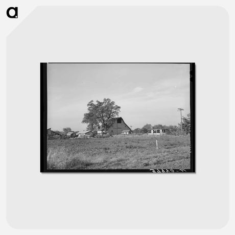 アートポストカード-Tehama County Farm
 - ラッセル リー Postcard.