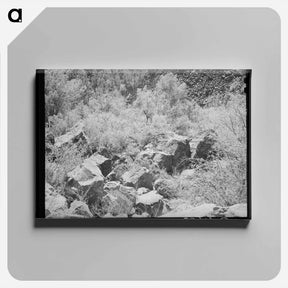 アートパネル-Carrizo Creek Gorge
 - ラッセル リー Canvas.