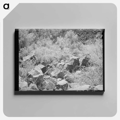アートパネル-Carrizo Creek Gorge
 - ラッセル リー Canvas.