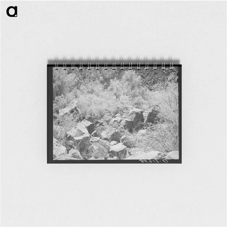 アートメモ帳-Carrizo Creek Gorge
 - ラッセル リー Memo.