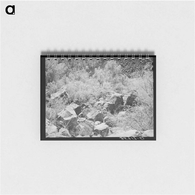 アートメモ帳-Carrizo Creek Gorge
 - ラッセル リー Memo.