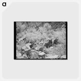 アートポストカード-Carrizo Creek Gorge
 - ラッセル リー Postcard.
