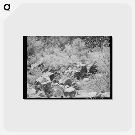アートポストカード-Carrizo Creek Gorge
 - ラッセル リー Postcard.