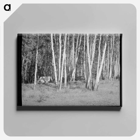 アートパネル-Santa Barbara Canyon Campers
 - ラッセル リー Canvas.