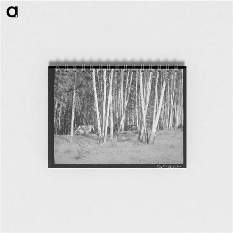 アートメモ帳-Santa Barbara Canyon Campers
 - ラッセル リー Memo.